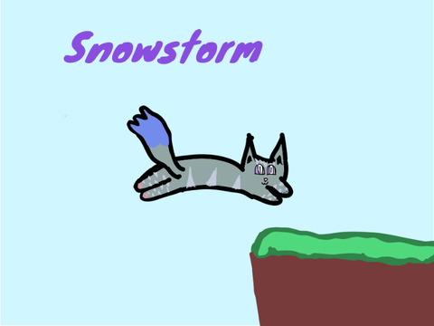 Snowstorm