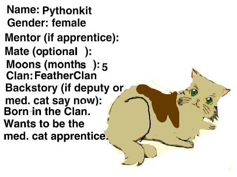Warriors New Clans (Pythyonkit)
