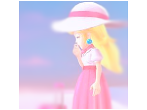 〔❨✿❩〕