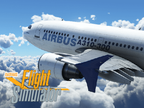 Scratch Flight Simulator 2024-2025