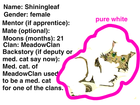 Warriors New Clans (Shiningleaf)  