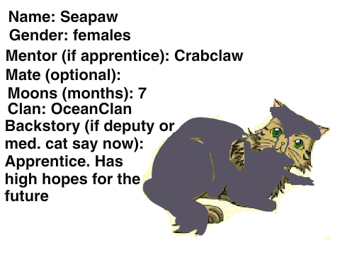 Warriors New Clans (Seapaw)  