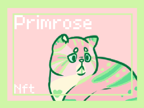 ♥ Primrose ♥