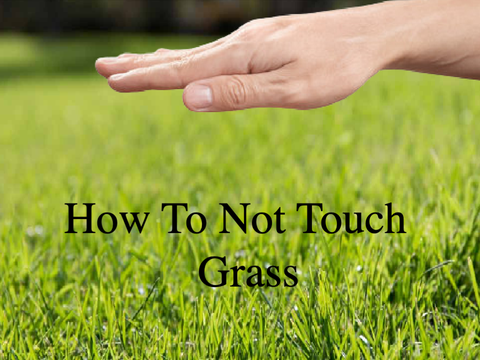 NOT Touch Grass: A Tutorial  remix