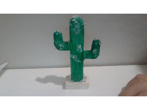 Arts n Crafted Cacti