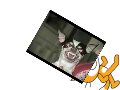 Im a pig!