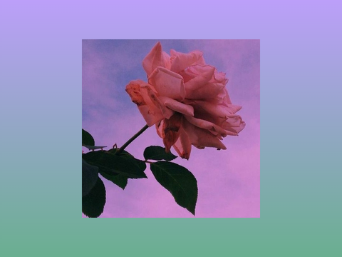 Vintage Flowers 