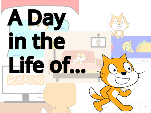 A Day in the Life of Scratch Cat!