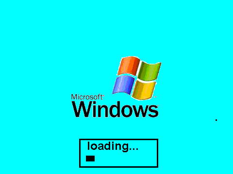 Microsoft Window's Vista