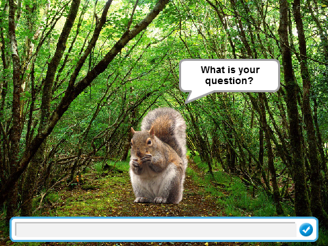 Squirrel Q&A ...