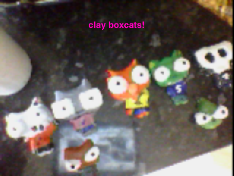 CLAY BOXCATS