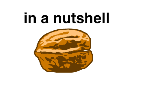 a good in a nutshell beginning