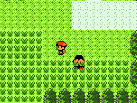 Pokemon in A Nutshell