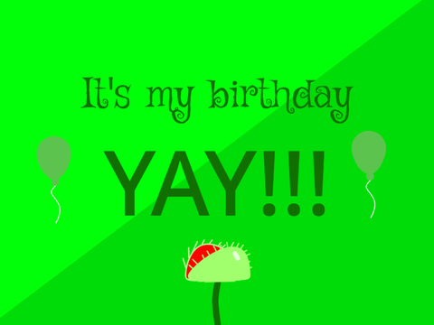 It's my Birthday!