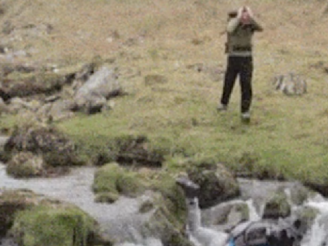 Falling over GIF
