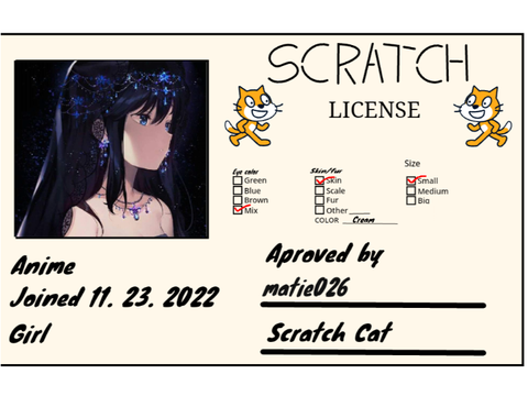 My scratch liscence