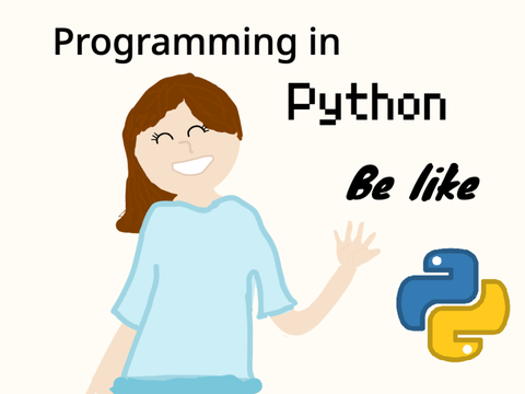 Programming in Python be like...