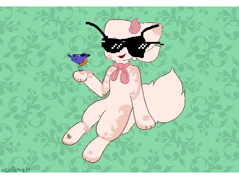 DMCE + pixel glasses
