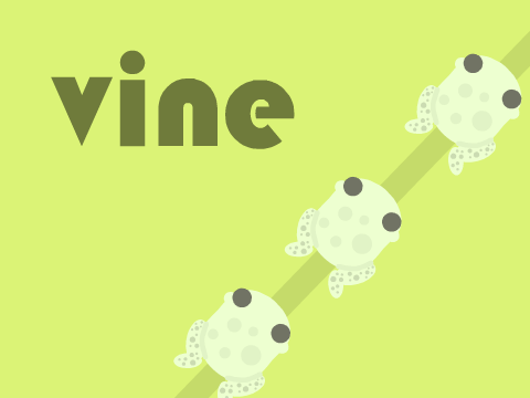Vine