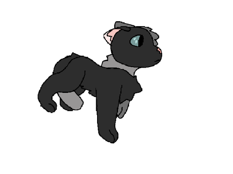 Ravenwalker 
