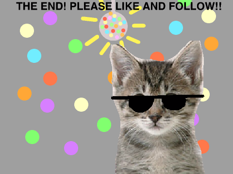 Disco Kitten
