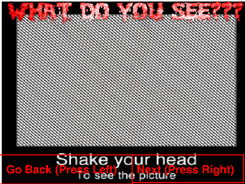 WHAT DO YOU SEE???