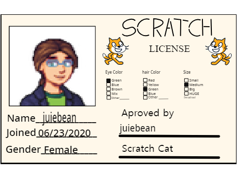 My License  remix