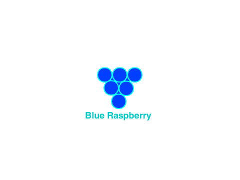 BlueRaspberry 0.0.8 App