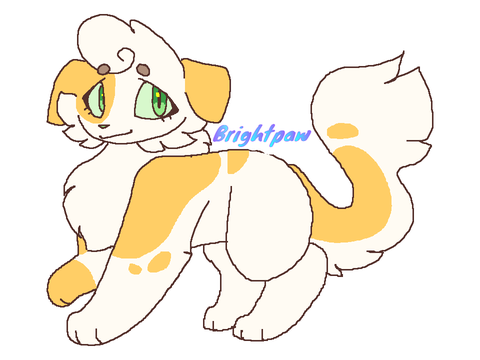 ~~+ My OC, Brightpaw +~~