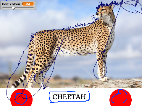 Cheetah drawer remix