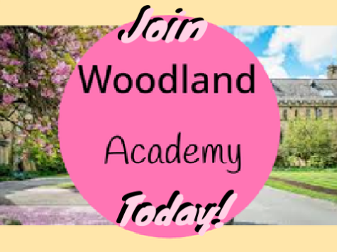 Woodland Academy Sign Up Form remix