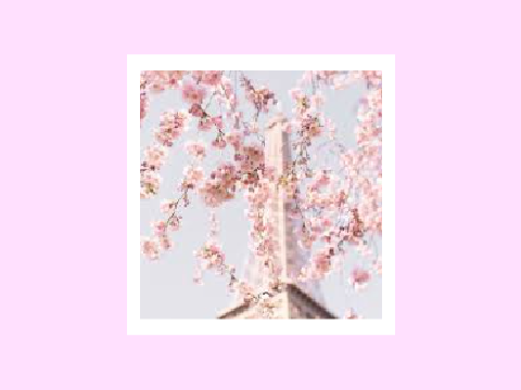 [ WIP ]❛ ʷʰᵃᵗ ʷᵃˢ ⁱ ᵐᵃᵈᵉ ᶠᵒʳ?... ❜  a gardenia application