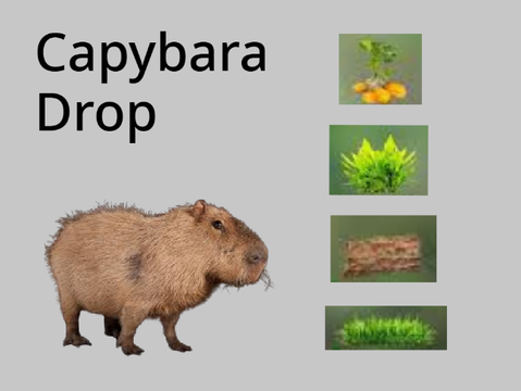 Capybara Drop