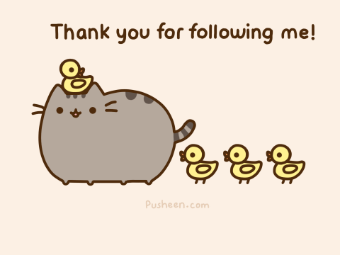 Thank you my followers!