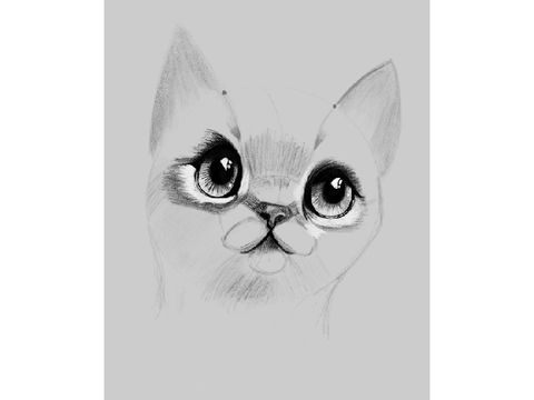 cat sketch - attempt at realism
