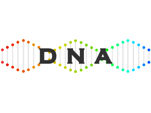 D N A