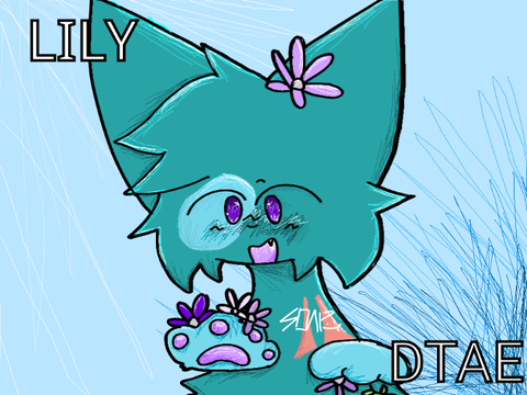Lily - DTAE 