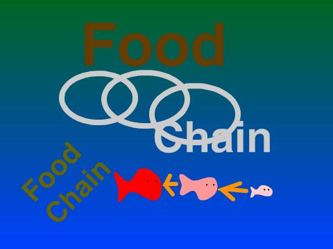 Interactive Food Chain