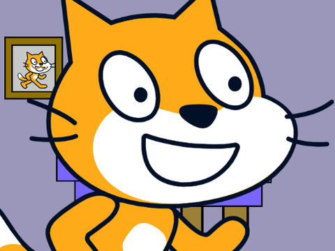 the scratch cat bazzare