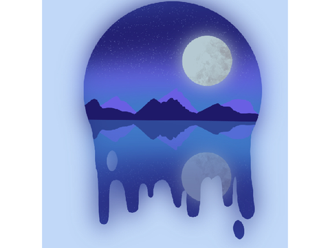 Moonlit Reflection