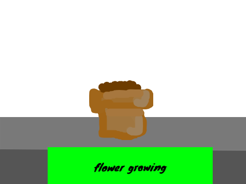 Flower Growing