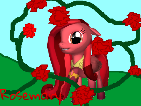 Rosemary the rose-based pony