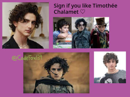 Timothée Chalamet ♡