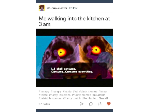 More LoZ memes