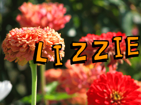 Lizzie name my first game