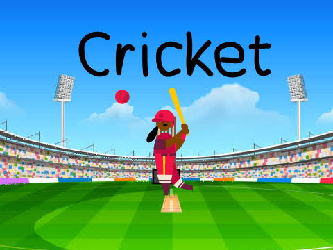 Cricket 