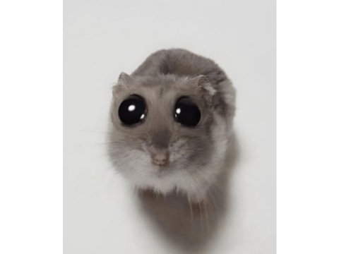 Would You Save This? 