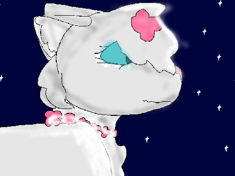 Lightstorm ฅʕ•̫͡•ʔฅ  ᓚᘏᗢ  /ᐠ｡ꞈ｡ᐟ\
