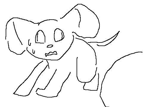 Wool