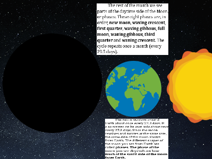Phases of the Moon School Project